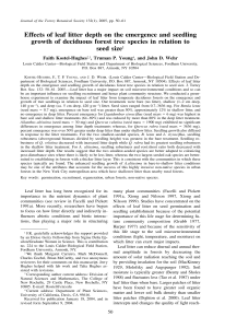 Effects of leaf litter depth on the emergence and seedling growth of