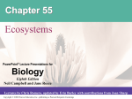 ecosystem - CARNES AP BIO