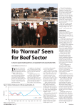 No `Normal` Seen for Beef Sector