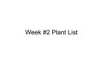Week # Plant List - Killingly Public Schools