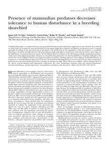 Presence of mammalian predators decreases tolerance to human