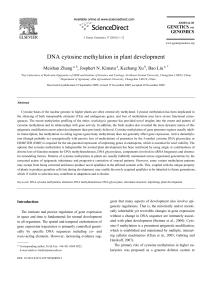 DNA cytosine methylation in plant development