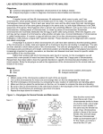 LAB- DETECTION GENETIC DISORDERS BY KARYOTYPE