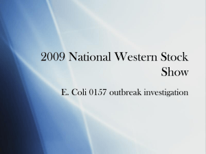 2009 National Western Stockshow