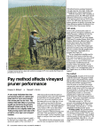 Pay method affects vineyard pruner performance