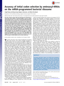 Accuracy of initial codon selection by aminoacyl