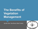 The Benefits of Vegetation Management