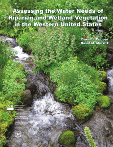 Assessing the water needs of riparian and wetland vegetation in the