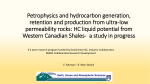 Petrophysics and hydrocarbon generation