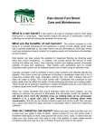 Rain Barrel Fact Sheet: Care and Maintenance