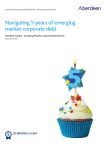 Navigating 5 years of emerging market corporate debt
