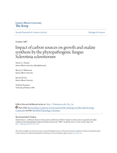 Impact of carbon sources on growth and oxalate - The Keep