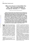 Effects of an Increase in Intracellular Free [Mg2+] After