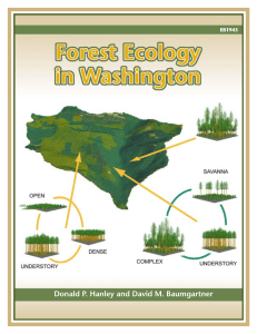 Forest Ecology in Washington