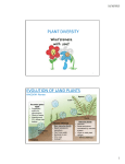 PLANT DIVERSITY EVOLUTION OF LAND PLANTS