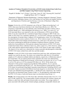 Analysis of Virulence Potential of Escherichia coli O145 strains