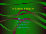 The Marine Pollution