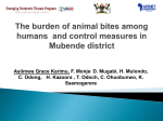 The burden of animal bites among humans and control measures in
