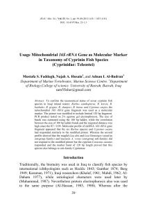 Usage Mitochondrial 16S rRNA Gene as Molecular Marker in