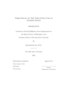 Three Essays on The Term Structure of Interest Rates