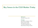 Key Issues in the CLO Market Today