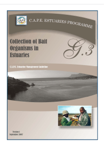 Collection of Bait Organisms in Estuaries