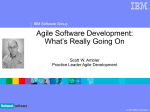 Agile Software Development