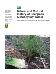 Natural and Cultural History of Beargrass (Xerophyllum tenax)