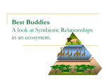 Eco-Relationships
