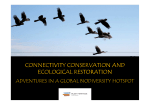 connectivity conservation and ecological restoration
