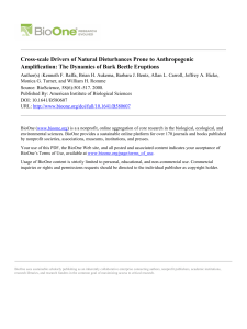 Cross-scale Drivers of Natural Disturbances Prone to Anthropogenic