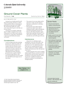 Ground Cover Plants - Colorado State University Extension