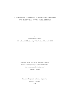 Portfolio Risk Calculation and Stochastic Portfolio Optimization by A