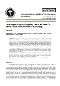 DNA Sequencing by Targeting 16S rRNA Gene for Novel Strain