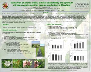 Evaluation of Aronia yields, cultivar adaptability and