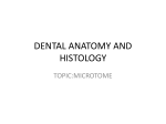 dental anatomy and histology