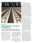 Drip Irrigation Improves N Efficiency