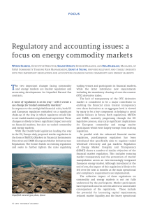 Regulatory and accounting issues: a focus on energy commodity