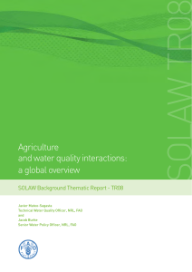 Agriculture and water quality interactions: a global overview