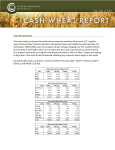 Cash Wheat Market The cash market continues the weak tone as