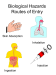 Biological Hazards Routes of Entry