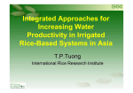 Integrated Approaches for Increasing Water Productivity in Irrigated