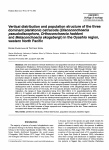 Vertical distribution and population structure of the three dominant