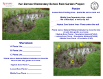 Van Derveer Elementary School Rain Garden Project