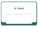 13_H.pylori (Lecture)