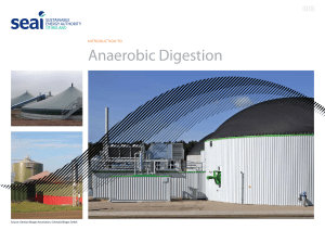 Anaerobic digestion