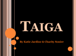 Taiga - Net Start Class