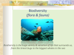 Biodiversity Week Powerpoint - Colaiste Muire Green Schools