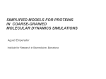 simplified models for proteins in coarse