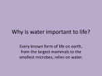 Why is water important to life?